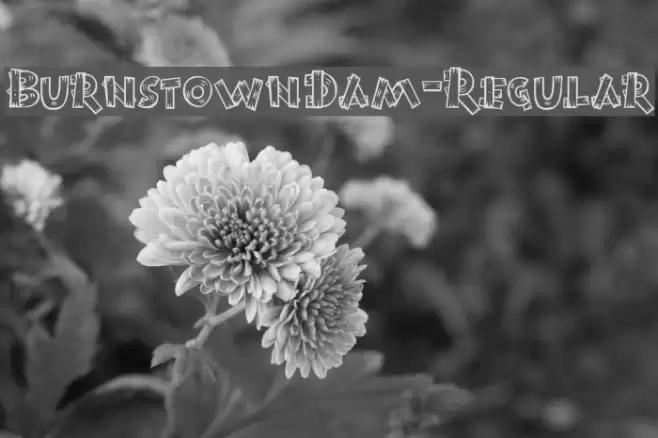 BurnstownDam-Regular Font examples