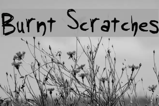 Burnt Scratches Font examples
