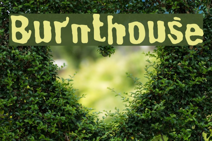 Burnthouse Font examples