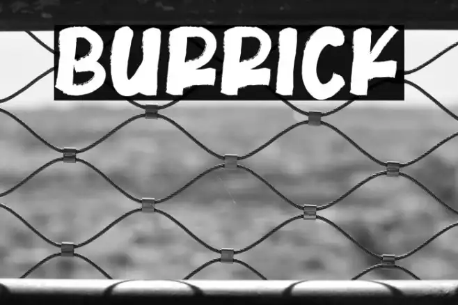 Burrick Example 2