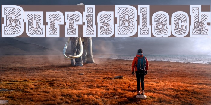 BurrisBlack Example 1