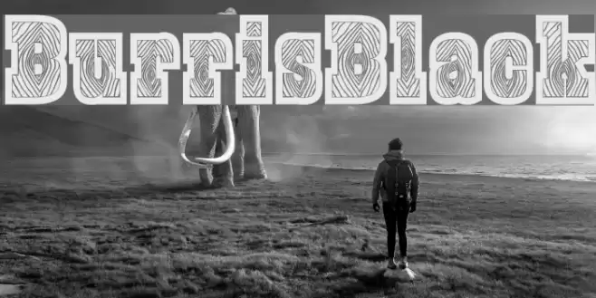 BurrisBlack Font examples