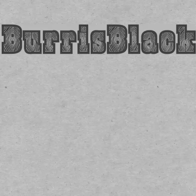 BurrisBlack Font examples