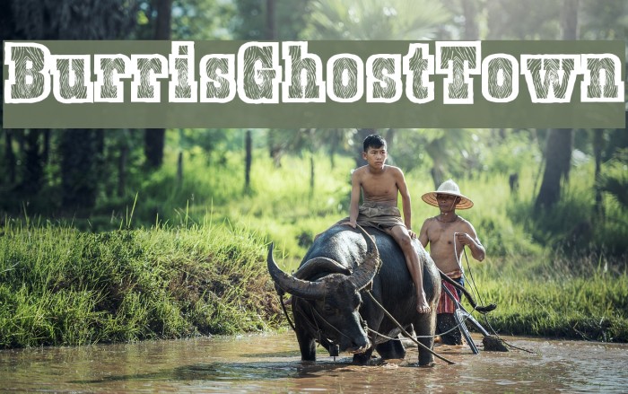 BurrisGhostTown Font examples