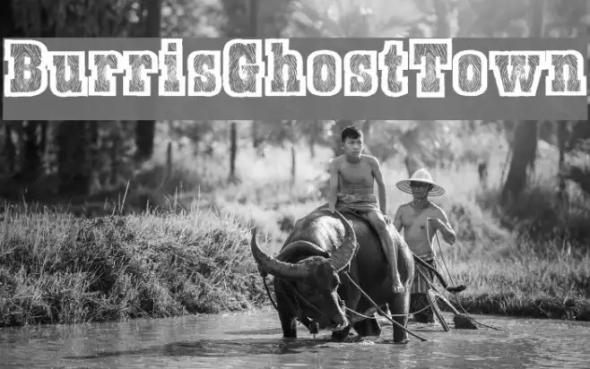 BurrisGhostTown Example 2