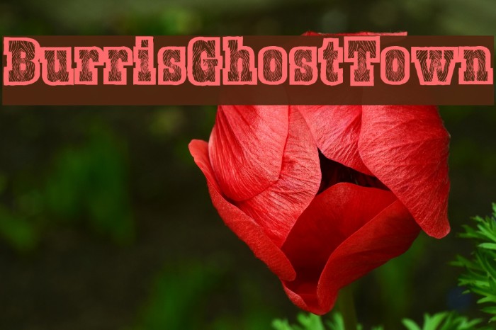 BurrisGhostTown Font examples