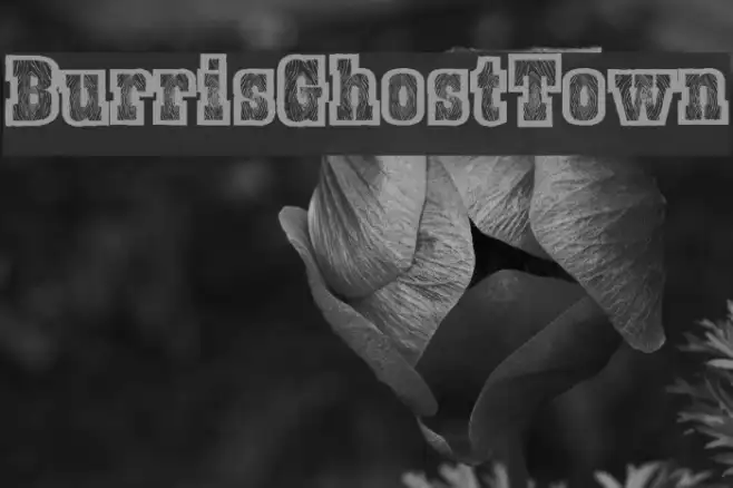 BurrisGhostTown Example 3