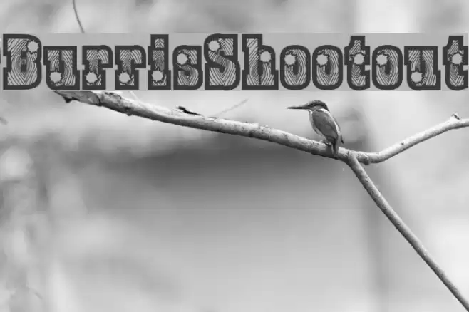 BurrisShootout フォント examples