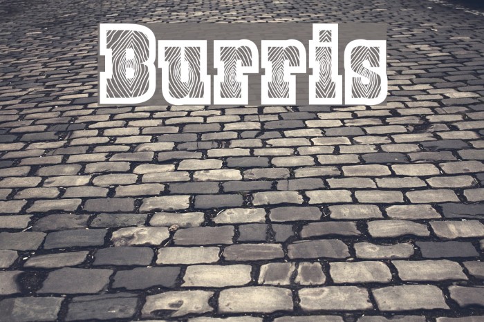 Burris Font examples