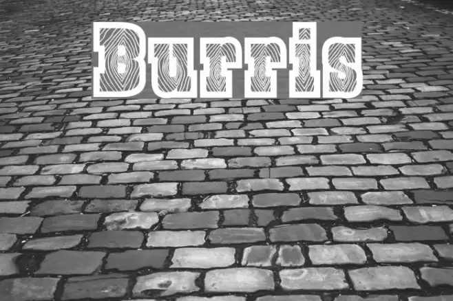 Burris خط examples