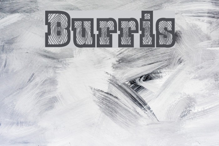Burris Font examples