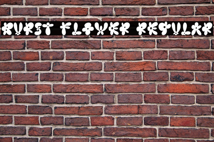 Burst Flower Regular Example 1