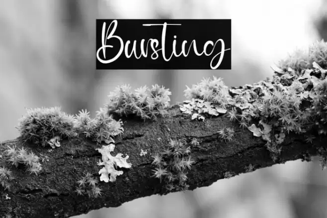 Bursting Font examples