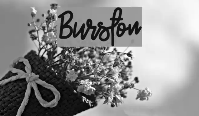 Burston Example 1