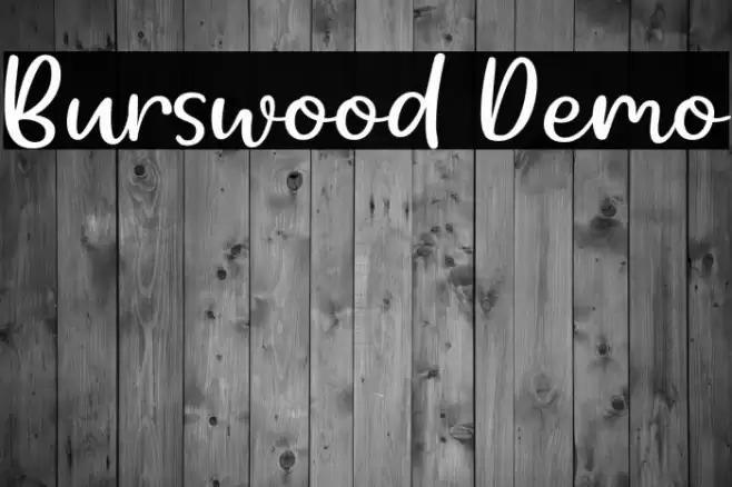 Burswood Demo フォント examples
