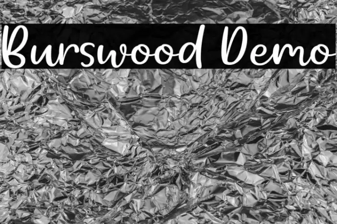 Burswood Demo フォント examples