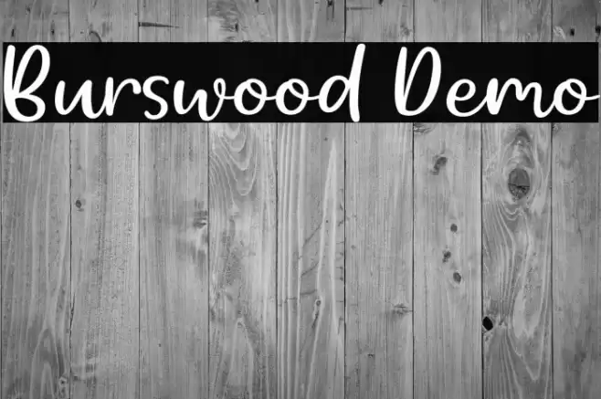 Burswood Demo フォント examples