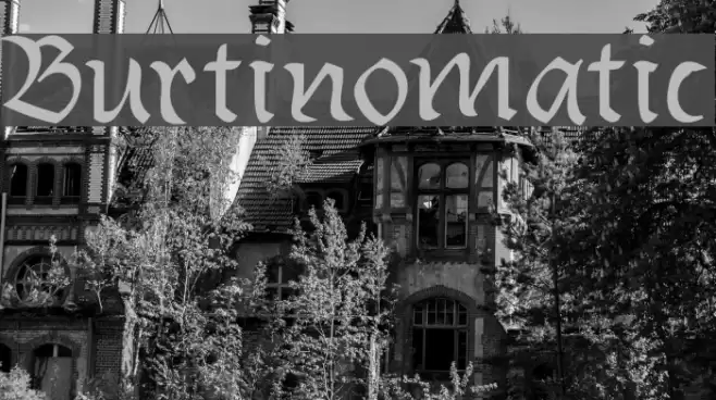 Burtinomatic Font examples