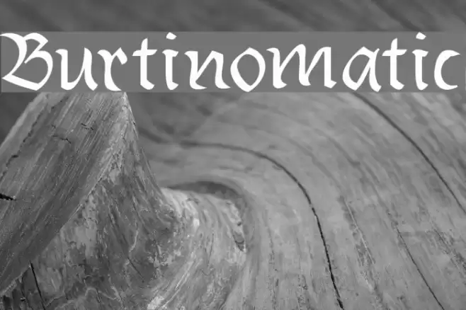 Burtinomatic Font examples