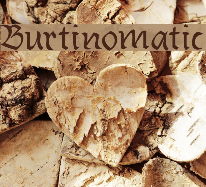 Burtinomatic Font examples