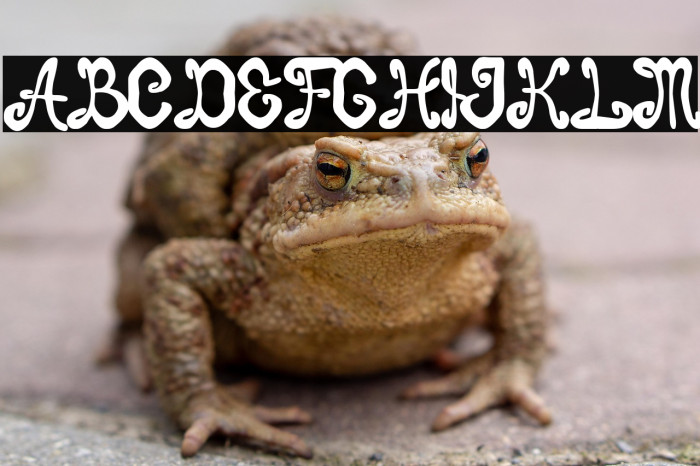 Burton Brothers Example 2