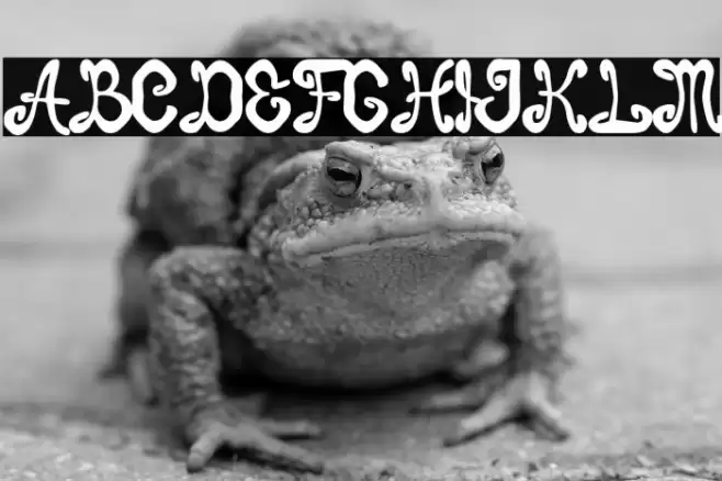 Burton Brothers Font examples