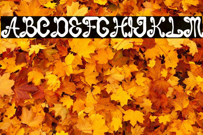 Burton Brothers Example 3