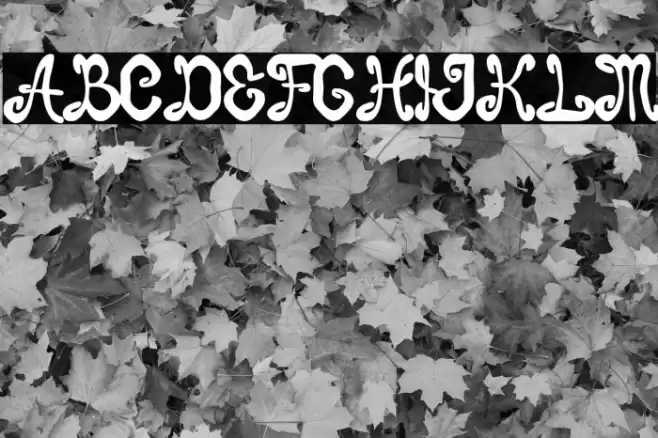 Burton Brothers Font examples