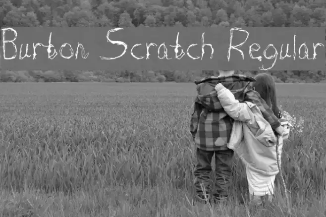Burton Scratch Regular Example 1