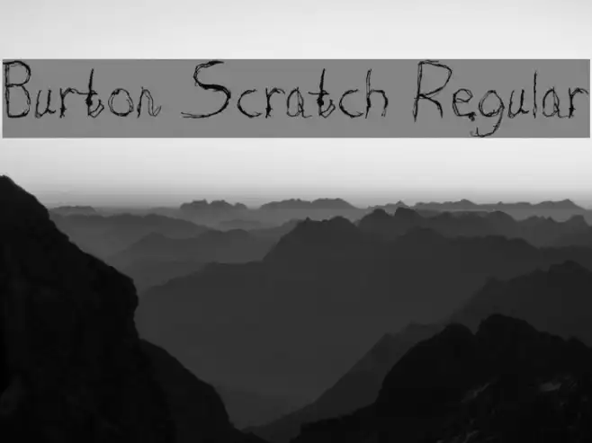 Burton Scratch Regular Example 2