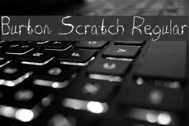 Burton Scratch Regular Example 3
