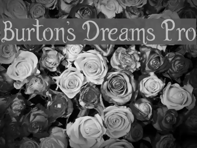 Burton's Dreams Pro Font examples
