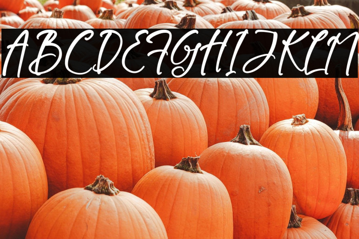 Burtons Ghoster Example 3