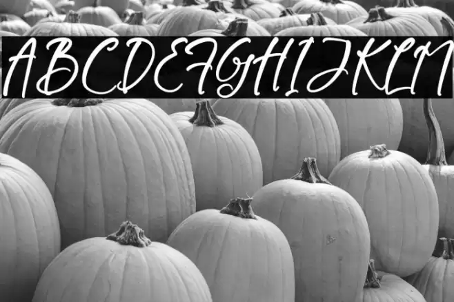 Burtons Ghoster Caratteri examples