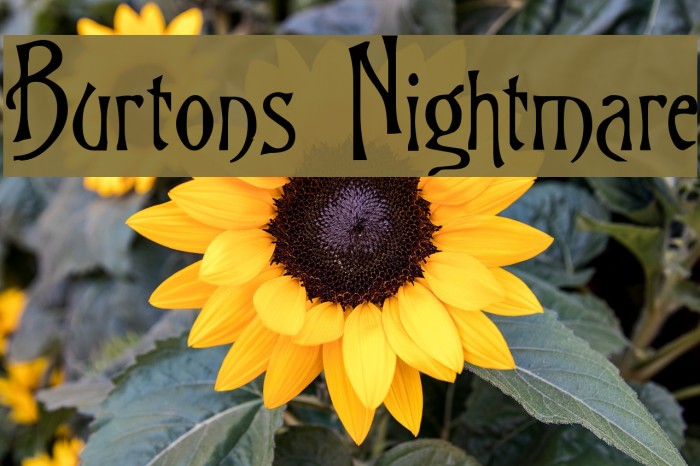 Burtons Nightmare Font examples