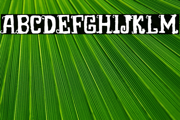 Burton's Park Example 2