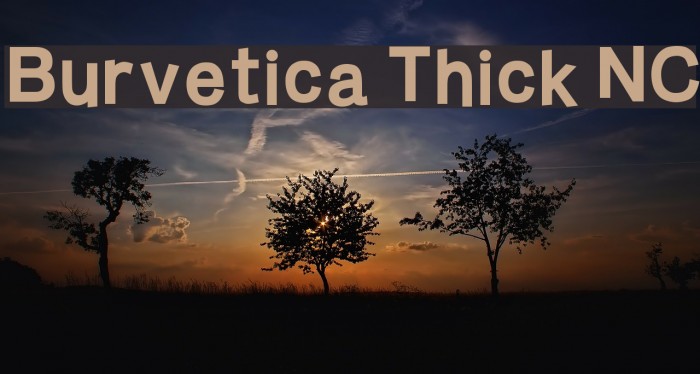 Burvetica Thick NC Font examples