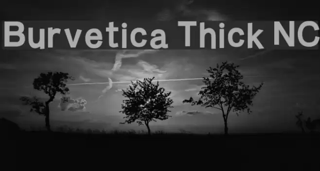 Burvetica Thick NC Font examples