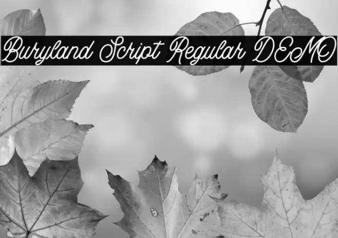 Buryland Script Regular DEMO Font examples