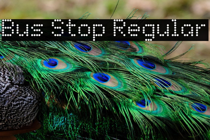 Bus Stop Regular Example 1