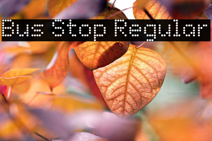 Bus Stop Regular Example 2