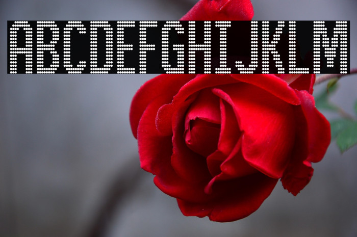 BusMatrix Condensed Condensed Example 1