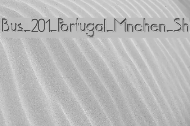 Bus_201_Portugal_Mnchen_Sh Example 1