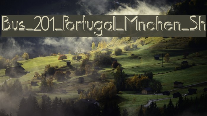Bus_201_Portugal_Mnchen_Sh Font examples