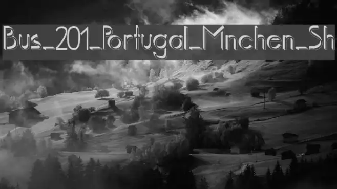 Bus_201_Portugal_Mnchen_Sh Example 2