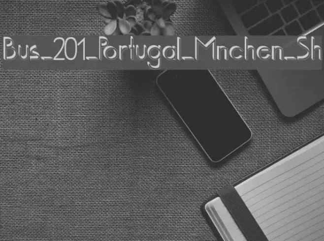 Bus_201_Portugal_Mnchen_Sh Example 3