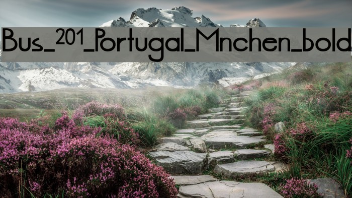 Bus_201_Portugal_Mnchen_bold Font examples