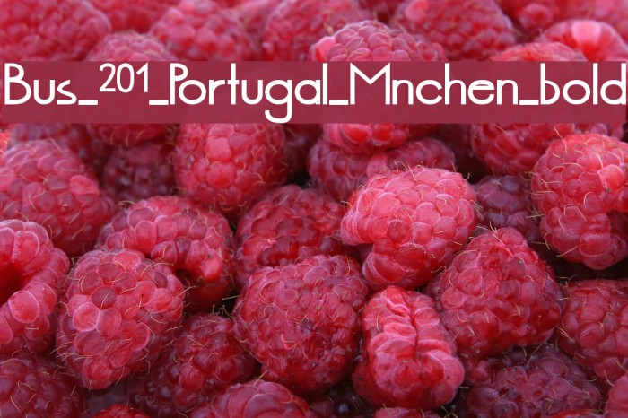 Bus_201_Portugal_Mnchen_bold Font examples