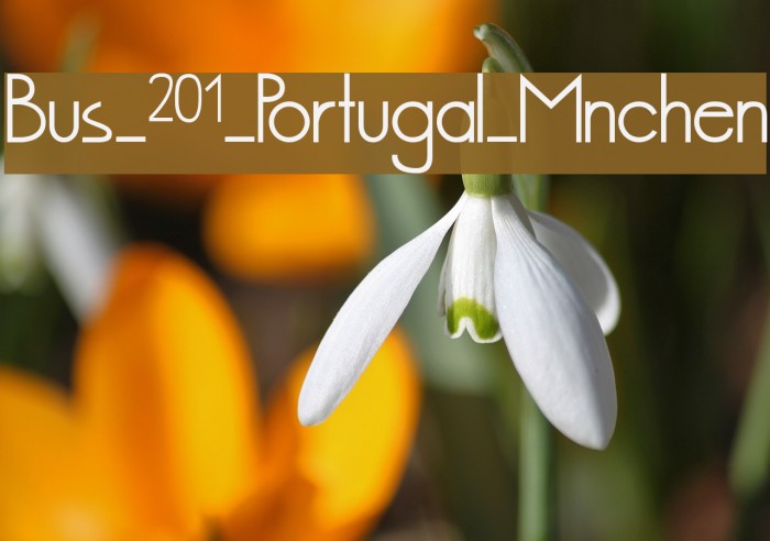 Bus_201_Portugal_Mnchen Font examples