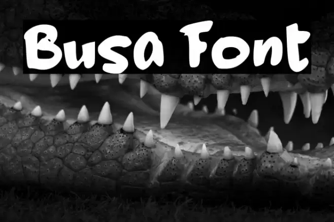 Busa Font examples